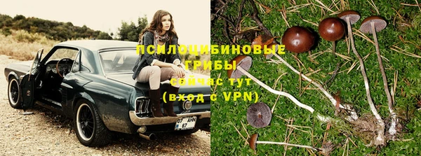 твердый Алексеевка