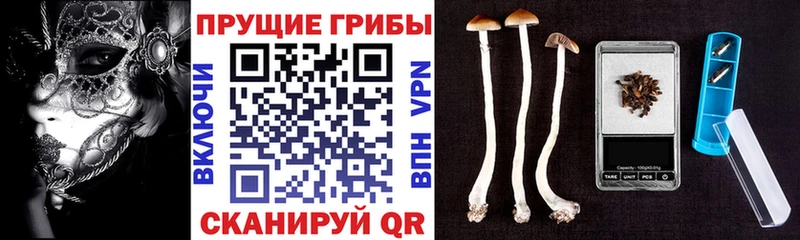 Псилоцибиновые грибы MAGIC MUSHROOMS  Зеленодольск 