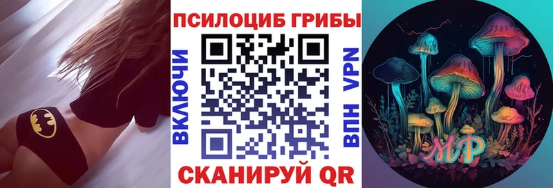Псилоцибиновые грибы Cubensis Зеленодольск