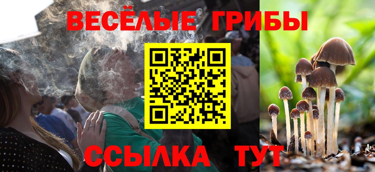 Галлюциногенные грибы GOLDEN TEACHER  Вход с VPN  Зеленодольск 
