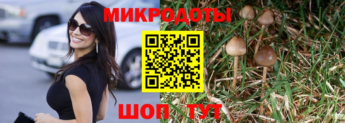 Псилоцибиновые грибы прущие грибы Зеленодольск